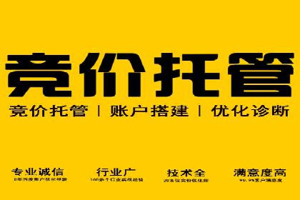 网站SEM托管优化案例：助力企业快速抢占市场